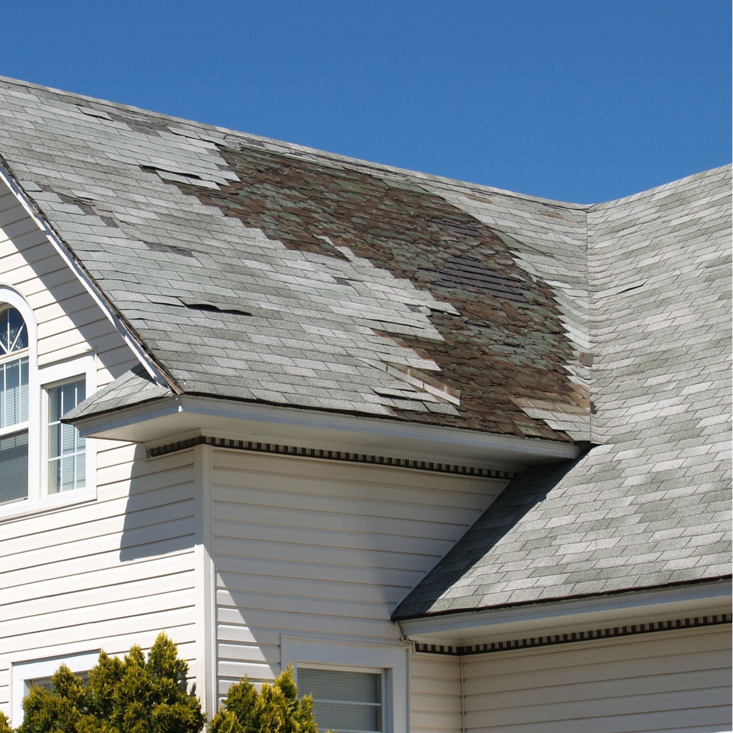 roof in disrepair